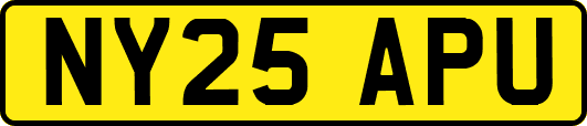 NY25APU