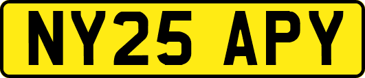 NY25APY