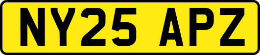 NY25APZ