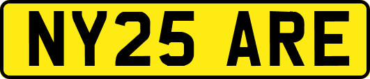 NY25ARE