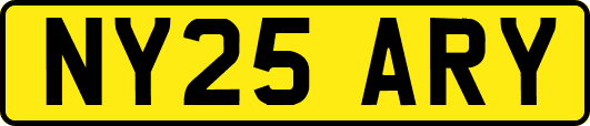 NY25ARY