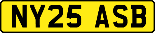 NY25ASB