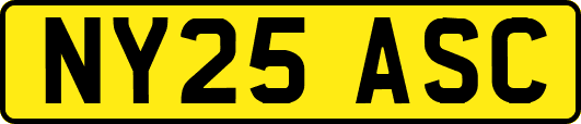 NY25ASC