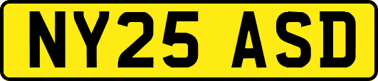 NY25ASD