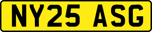 NY25ASG