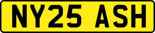 NY25ASH