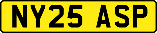 NY25ASP