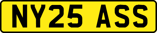 NY25ASS