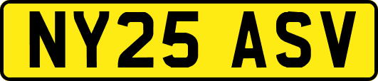 NY25ASV