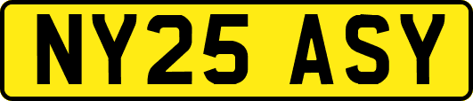 NY25ASY