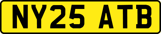 NY25ATB