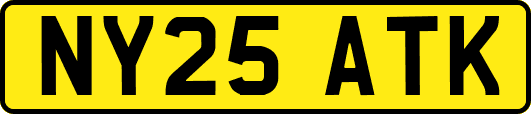NY25ATK