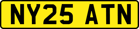 NY25ATN