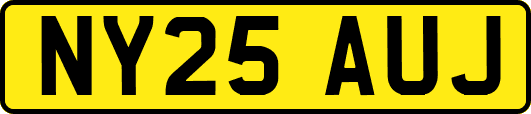 NY25AUJ