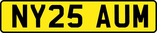 NY25AUM