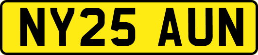 NY25AUN