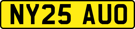 NY25AUO