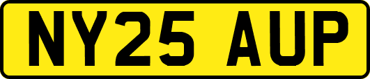 NY25AUP