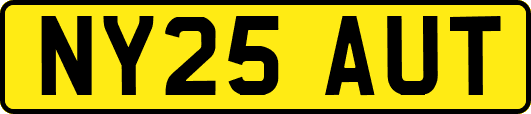 NY25AUT
