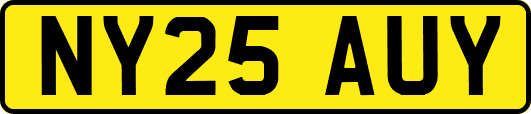 NY25AUY