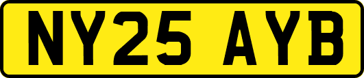 NY25AYB