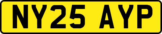 NY25AYP