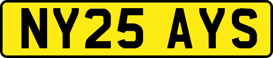 NY25AYS