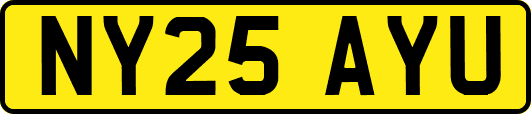 NY25AYU