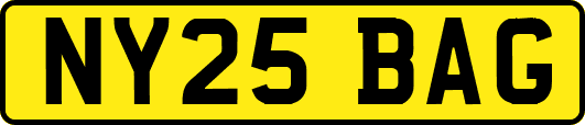 NY25BAG