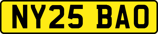 NY25BAO