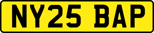 NY25BAP