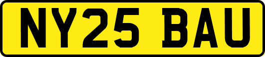 NY25BAU