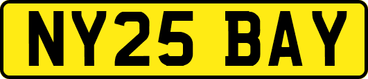 NY25BAY