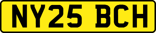 NY25BCH