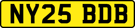 NY25BDB