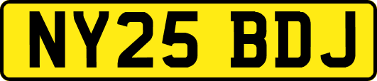 NY25BDJ