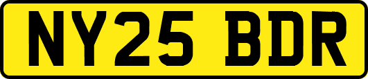 NY25BDR