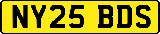 NY25BDS