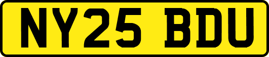 NY25BDU