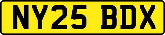 NY25BDX