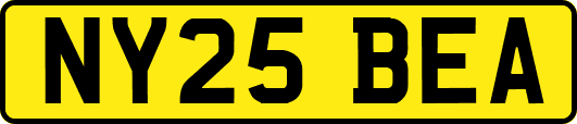 NY25BEA