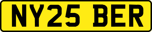 NY25BER
