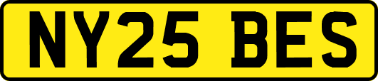NY25BES