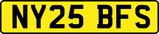 NY25BFS