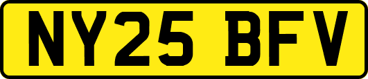 NY25BFV