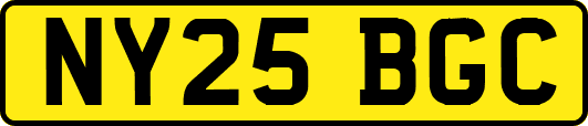 NY25BGC