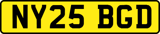 NY25BGD