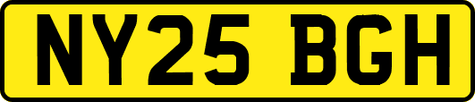 NY25BGH