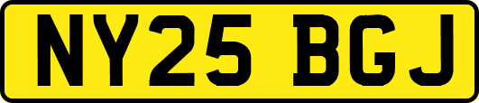 NY25BGJ