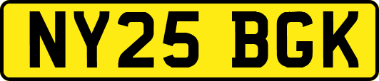 NY25BGK